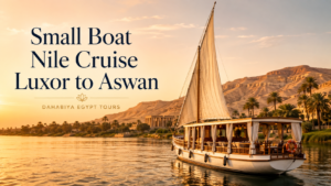 Small Boat Nile Cruise vs. Private Charter